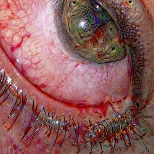 Meet your Posher, Ava